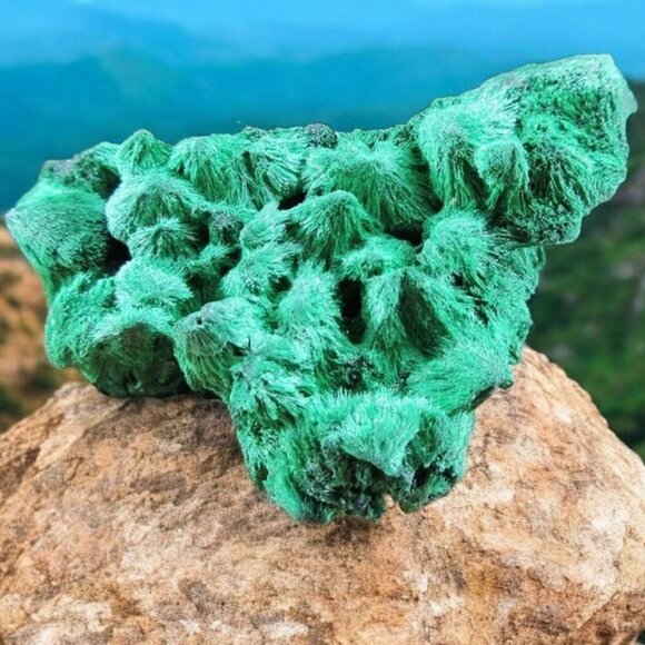 Natural Flowery Malachite ✦ Velvet Green Crystal Specimen ✦ Healing Stone 38g - Picture 1 of 12